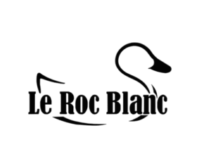 default-logo